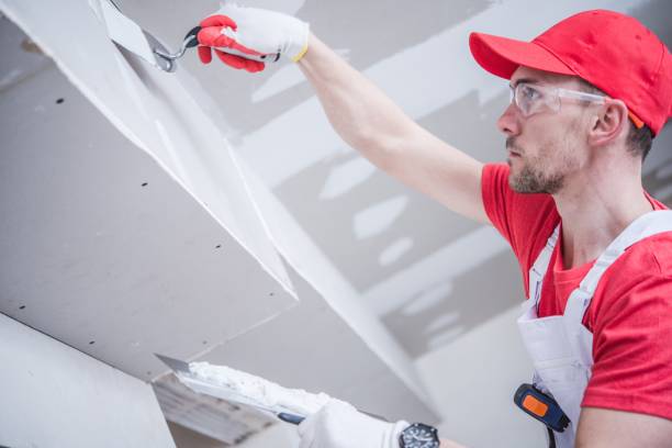 Best Drywall Installation  in Inverness, FL